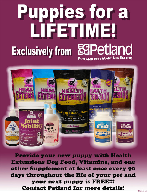 health extension dog food petland