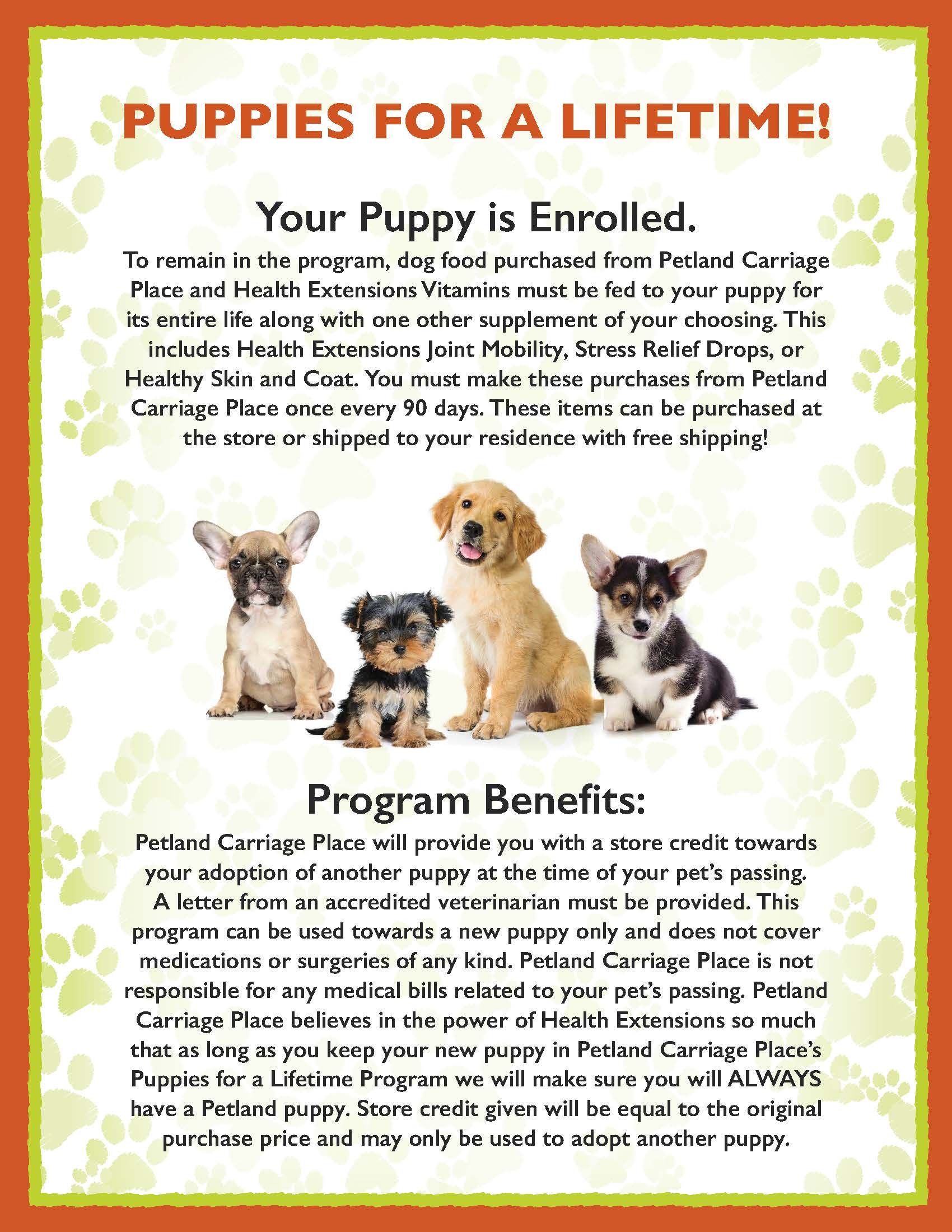 Petland Athens Ohio - 0631jg0